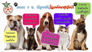 เตือนภัยโรคพิษสุนัขบ้า ปี 2564